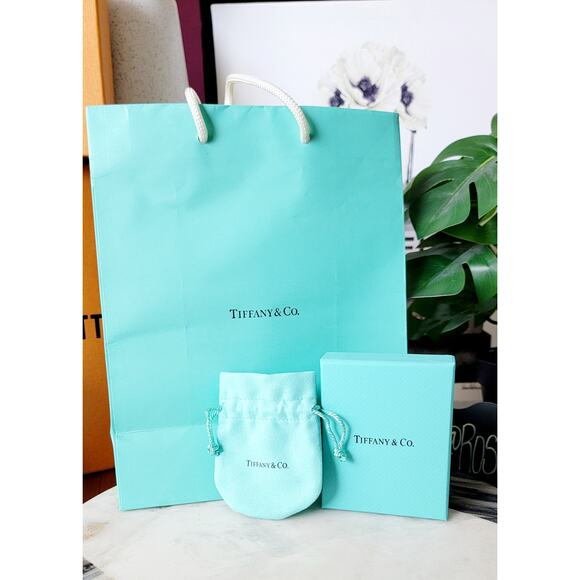 TIffany & Co. Peretti Silver Apple Necklace - Picture 8 of 9